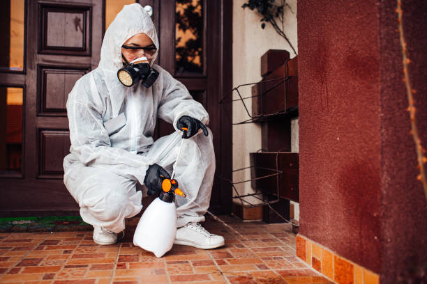 Reliable Cockroach Control contractor in Flandreau, SD by Nex Pest Control
